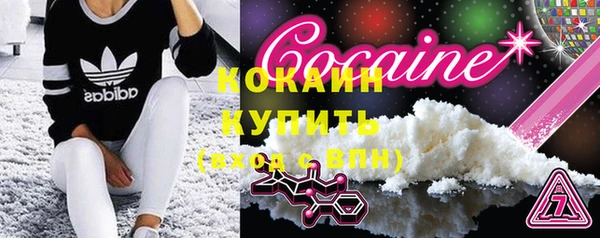 apvp Бородино