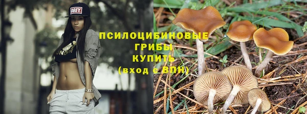 дурь Бугульма