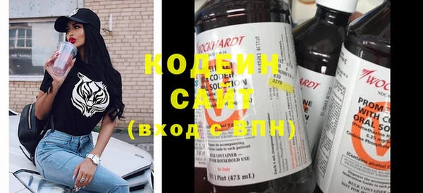 apvp Бородино