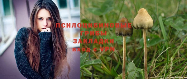 apvp Бородино