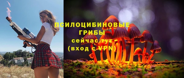 дурь Бугульма