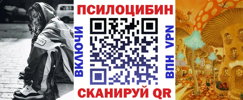 Псилоцибиновые грибы мицелий  продажа наркотиков  Грязи 